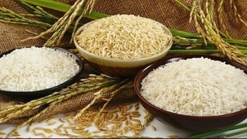 Cập nhật giá gạo chiều nay 22/10: Ổn định