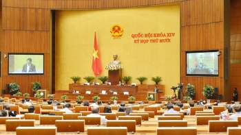 Quốc hội nghe báo cáo thẩm tra dự án Luật Giao thông đường bộ (sửa đổi)