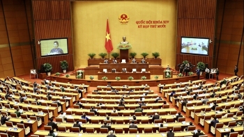 Quốc hội thảo luận ​​​​​​​về dự thảo Nghị quyết về tham gia lực lượng gìn giữ hòa bình của Liên hợp quốc