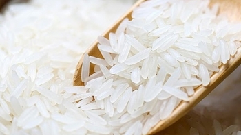 Cập nhật giá gạo chiều nay 26/10: Gạo xuất khẩu ở mức cao