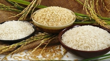 Cập nhật giá gạo hôm nay 29/10: Trong nước đi ngang