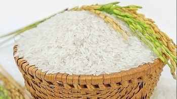 Cập nhật giá gạo chiều nay 30/10: Tăng nhẹ