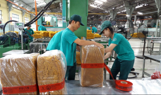 Cập nhật giá cao su hôm nay 31/10: Tiếp đà tăng