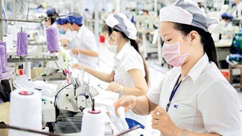 Giải quyết các kiến nghị để hỗ trợ doanh nghiệp vượt qua khó khăn do dịch