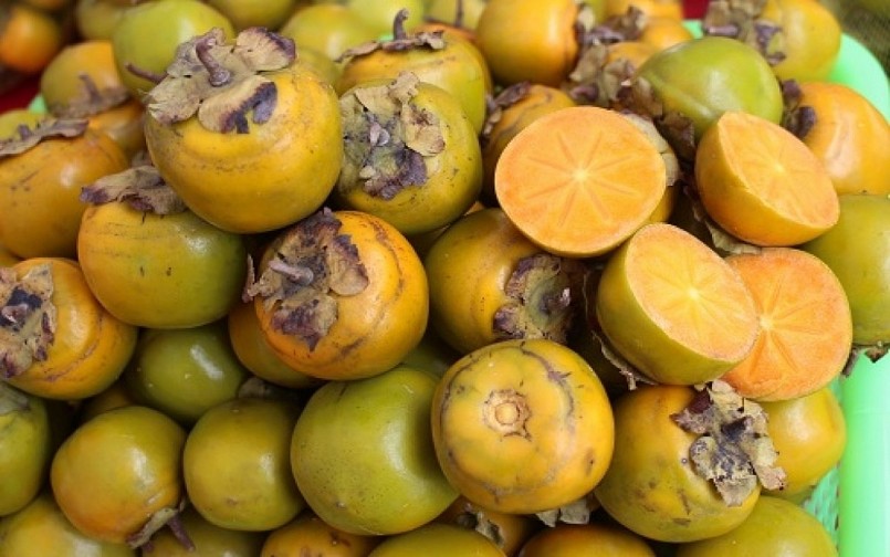 Hồng vành khuyên Văn Lãng (Lạng Sơn) Hồng vành khuyên Văn Lãng (Lạng Sơn)