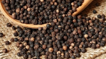 Cập nhật giá hồ tiêu hôm nay 3/10/2021: Tăng 500 đồng/kg