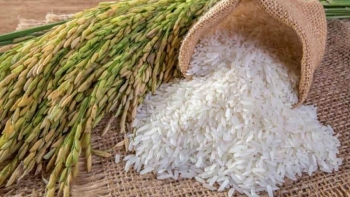 Thị trường gạo Châu Á: Giá gạo xuất khẩu Việt tăng cao