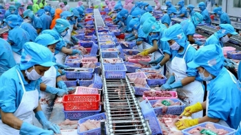 5 lưu ý dành cho doanh nghiệp xuất khẩu sang thị trường EU