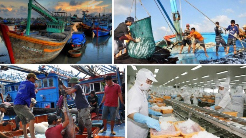 Việt Nam gỡ "thẻ vàng" thuỷ sản vào năm 2022?