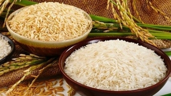 Cập nhật giá lúa gạo hôm nay 11/10/2021: Giá gạo nguyên liệu bật tăng