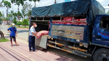 Bản tin hàng giả hàng nhái: Thu giữ gần 2 tạ tỏi vi phạm ở Tiền Giang