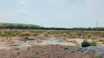 Ủy quyền sử dụng đất được pháp luật quy định như nào?