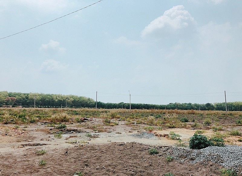 Ủy quyền sử dụng đất được pháp luật quy định như nào? Ủy quyền sử dụng đất được pháp luật quy định như nào?