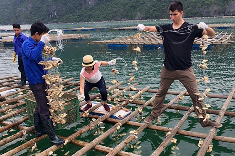 Bến Tre: Tổng diện tích nuôi trồng thủy sản trong tháng 10 đạt 495 ha