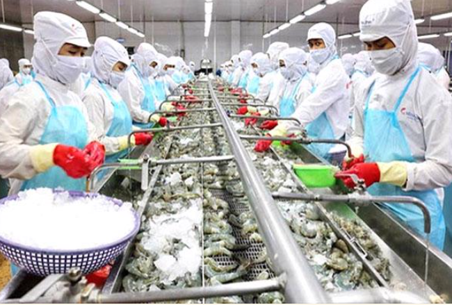 Dự báo năm 2021 cả nước vẫn có thể xuất siêu