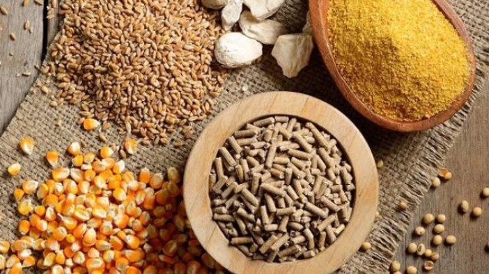 Nhập khẩu thức ăn gia súc và nguyên liệu tăng trở lại