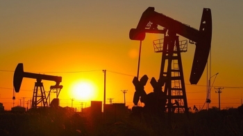 Cập nhật giá xăng dầu hôm nay 20/10/2021: Lấy lại đà tăng