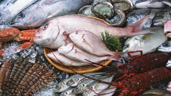 Việt Nam nhập khẩu gần 1,5 tỷ USD thủy sản các loại trong 9 tháng