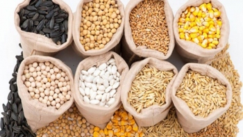 Xuất khẩu thức ăn gia súc 9 tháng năm 2021 tăng 36%