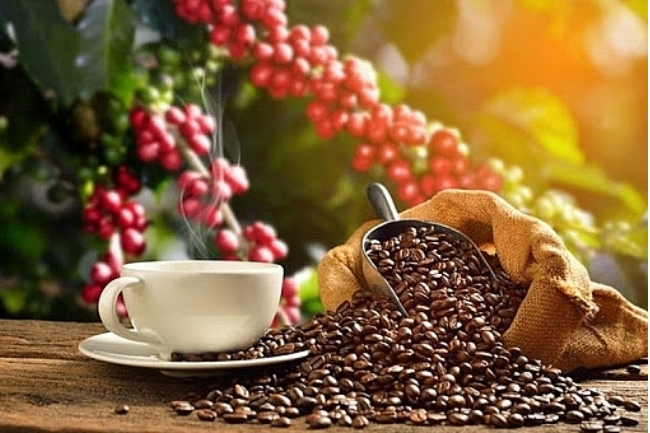 Cập nhật giá cà phê hôm nay 24/10/2021: Một tuần khởi sắc