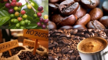 Đón tín hiệu tích cực từ một số mặt hàng thế mạnh của Việt Nam