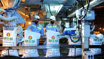 Xuất khẩu phân bón tăng mạnh cả khối lượng, kim ngạch và giá