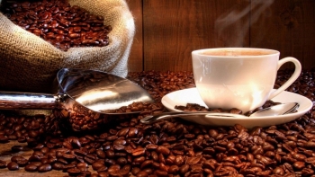 Ban hành Bộ quy tắc tham chiếu về cà phê bền vững