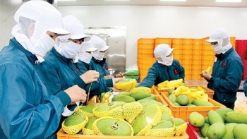Tiềm năng lớn xuất khẩu rau quả sang thị trường EU
