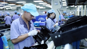 Yêu cầu Tiền Giang khẩn trương giải quyết kiến nghị của Cộng đồng doanh nghiệp FDI