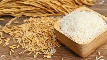 Cập nhật giá lúa gạo hôm nay 29/10/2021: Tăng nhẹ