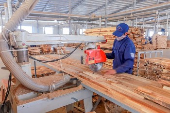 Doanh nghiệp ngành gỗ cần chủ động xây dựng kịch bản phục hồi và phát triển trong tình hình mới