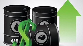 Cập nhật giá xăng dầu hôm nay 30/10/2021: Đồng loạt tăng mạnh