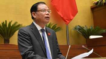 Trình Quốc hội xem xét quyết định chủ trương chuyển đổi mục đích sử dụng rừng