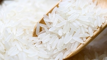 Cập nhận giá gạo hôm nay 3/11: Tăng nhẹ