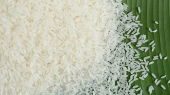 Cập nhật giá gạo hôm nay 4/11: Thị trường ổn định