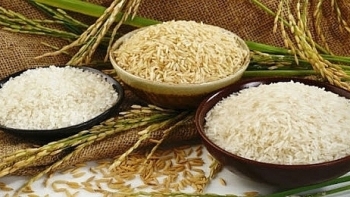 Cập nhật giá gạo hôm nay 7/11: Giá gạo bật tăng