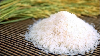 Cập nhật giá gạo hôm nay 9/11: Đầu tuần ổn định