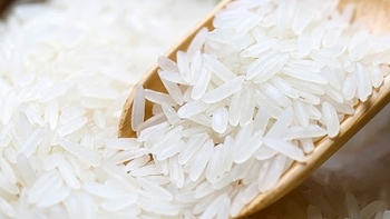 Cập nhật giá gạo chiều nay 9/11: Tăng nhẹ ở một số chủng loại