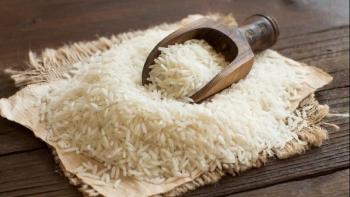 Cập nhật giá gạo chiều nay 11/11: Tiếp đà tăng