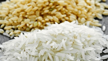 Cập nhật giá gạo hôm nay 12/11: Tiếp đà đi lên