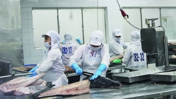 Thủ tướng chỉ đạo Bộ KH&CN sửa đổi quy định về mã số mã vạch đối với hàng xuất khẩu