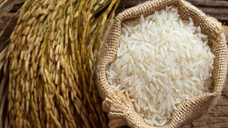 Cập nhật giá gạo chiều nay 12/11: Đi ngang