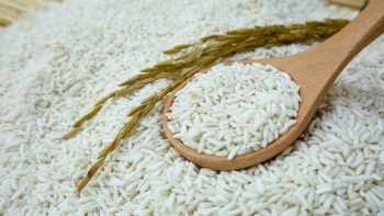 Cập nhật giá gạo hôm nay 13/11: Chững giá