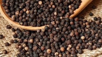 Giá hồ tiêu hôm nay 14/11: Đồng Nai tiếp tục tăng lên 500 đồng/kg