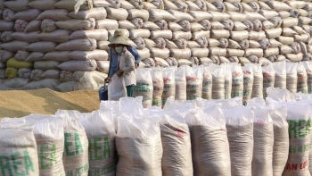 Quy chuẩn kỹ thuật đối thóc tẻ dự trữ quốc gia