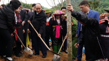 Tăng trưởng xanh và bền vững