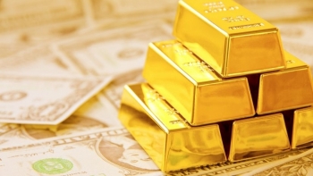 Cập nhật giá vàng hôm nay 14/11: Vàng miếng trong nước tăng mạnh