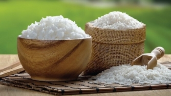 Cập nhật giá gạo hôm nay 15/11: Trong nước ổn định