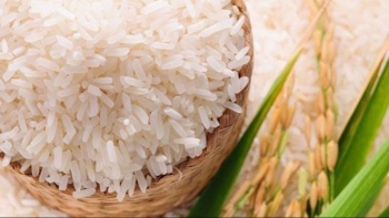 Bangladesh mở thầu mua gạo lần đầu tiên trong vòng 3 năm