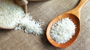 Cập nhật giá gạo chiều nay 18/11: Xu hướng tăng nhẹ